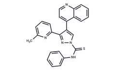 TargetMol - Model A 83-01 - Anaplastic Lymphoma Kinase (ALK)