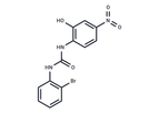 TargetMol - Model SB225002 - Antibody