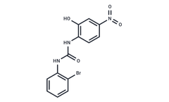 TargetMol - Model SB225002 - Antibody