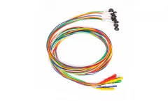 LifeSync - Disposable Silver Chloride (AgCl) EEG Electrodes