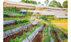 Ality Agro - Mulch Films