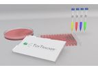 Toxys ToxTracker - Genotoxicity Assay