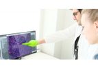 Toxys ReproTracker - In Vitro Assay for Developmental Toxicity Evaluation