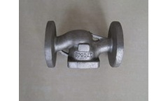 Borui - Alloy Steel Pipe Fitting