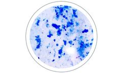 Envera - Product Analysis & Development