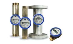 Berg - Model FlowIQ 3100  - Robust Cold-water Meter for Nominal Pipe