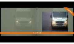 Fog in parking lot - Video