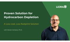 BioLodestone: A Low-Cost, Low-Footprint Solution for Hydrocarbon Depletion - Video