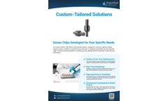 ArgusEye - Custom-Tailored Solutions - Brochure