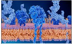 HLB Genex - Microbial Surface Display Technology