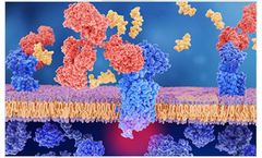 HLB Genex - Recombinant Protein Expression & Secretion Technology
