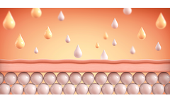 HLB Genex - Model N-Phytosphingosine - Cosmetic Material for Skin Barrier Function