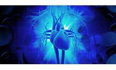 HLB Genex - Model K2 - Vitamin