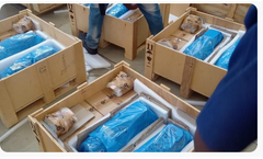 Gulmohar - Model Seaworthy VCI - Corrosion Protection Film