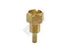 Ravi Products - Brass Sensor Components