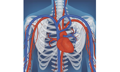 Arteriograph Device for Primary Care