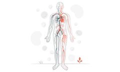 Arteriograph Device for Obstetrics