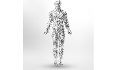 Arteriograph Device for Gynaecology