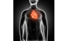 Arteriograph Device for Complementary Medicine