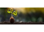 Tidal Grow GENMAX - Seed Treatment