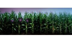 Tidal Grow Spectra - Fungicide, Bactericide and Nematicide Liquid Concentrate