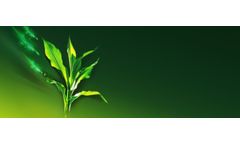 Tidal Grow alignN - Model 18-0-0 - Nitrogen Fertilizer