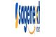 Sagenext Infotech LLC