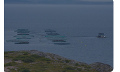 Self-Cleaning Screen Filters - Aquaculture