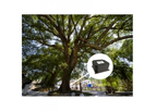Dianjiang - Model DJ-0321 - Ancient and Famous Tree Tilt Intelligent Monitoring System