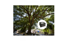 Dianjiang - Model DJ-0321 - Ancient and Famous Tree Tilt Intelligent Monitoring System
