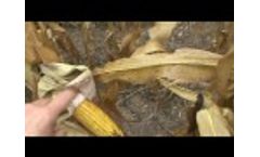 M2U00057 - Video