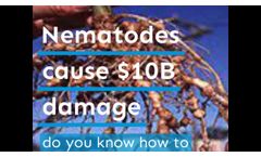 Nematodes/Nemasan 2020 720x720 F30 - Video