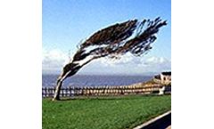 Rinntech - Version DYNATIM™ - Recording dynamic behaviour of trees