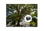 DianJiang - Model DJ-0321 - Ancient and Famous Tree Tilt Intelligent Monitoring System