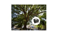 DianJiang - Model DJ-0321 - Ancient and Famous Tree Tilt Intelligent Monitoring System