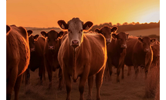 IoT Solutions for Smart Farming