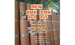28578-16-7  P MK Analytical Reagents Supplier High Quality BM K 5449-12-7 