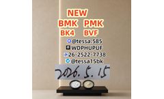 28578-16-7 P MK Consistent Quality Stable Supply NEW Fast Shipping High Purity 5449-12-7 B MK