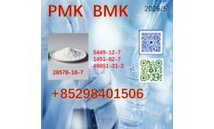 Factory direct supply 28578-16-7 New BMK PMK Powder 5449-12-7