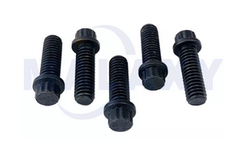 Malaxy - 12 Point Bolt