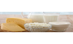 Electrodialysis Machine for Desalination of Cheese Whey