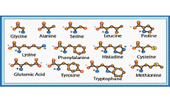 Electrodialysis Machine for Production of Amino Acids from Amino Acid Salts