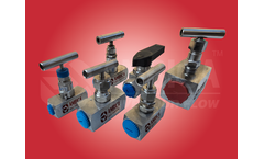 Ambica - Pressure Relief Valve (PRV)