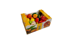 PPBOXY - Polypropylene (PP) Hollow Board Agricultural Packaging