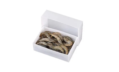 PPBOXY - Plastic Corrugated Shrimp Box