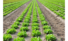 Earthcrew - Liquid NPK Fertilizers