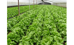 Earthcrew - Sugar Chelated Fertilizer