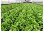 Earthcrew - Micronutrients with Food-Grade Sugar