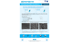 Carbon Nanomaterials Gold Nanoparticles modified Screen-Printed Carbon Electrodes - Brochure