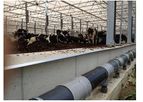 GICOM - Dry Cattle Housing on Aerated Floors